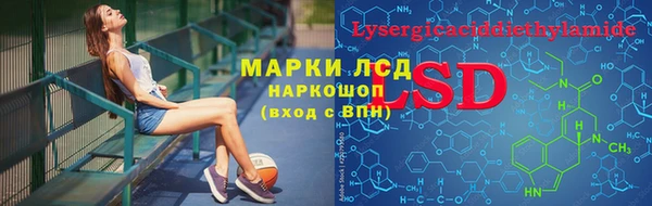 a pvp Аркадак