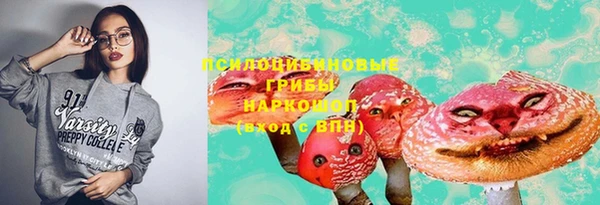 a pvp Аркадак