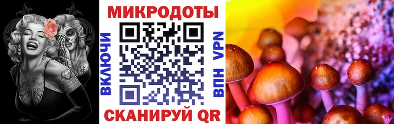 Псилоцибиновые грибы мицелий мега рабочий сайт Краснослободск